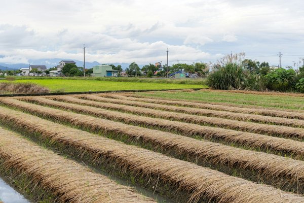 How to Employ Strategic Periodization in Training for Multi-Stage Cycling Tours?